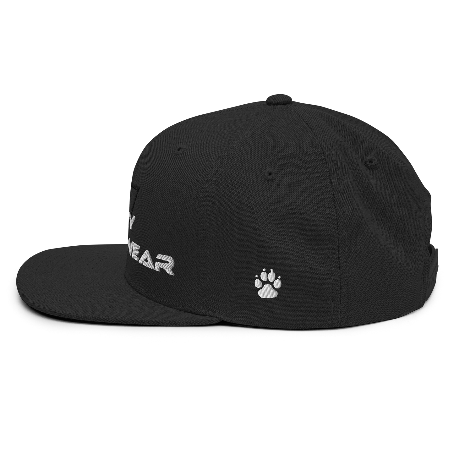 Genesis Snapback