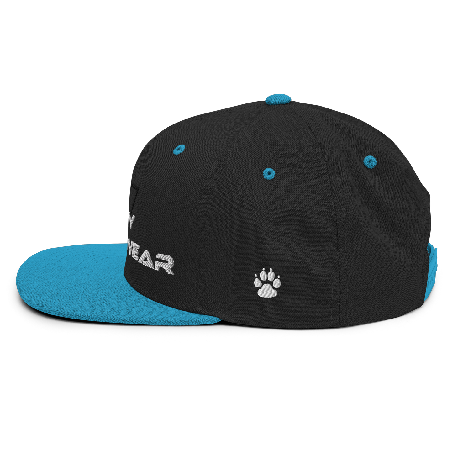 Genesis Snapback